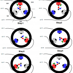 Управление бесколлекторным двигателем с датчиками Холла (Sensored brushless motors)